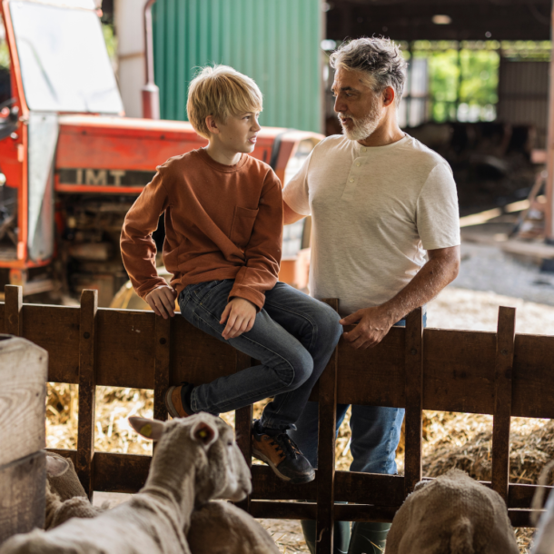 Abogado Derecho Sucesorio