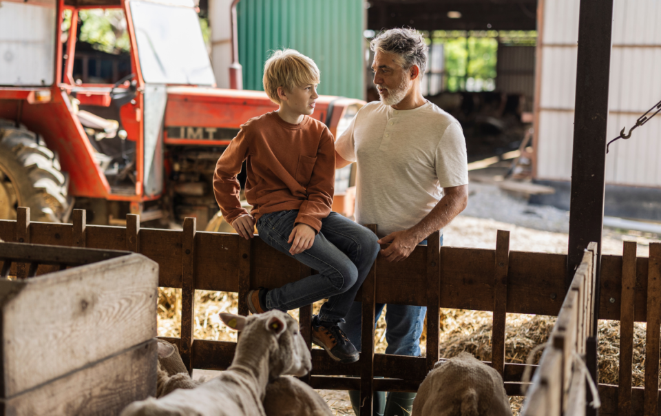 Abogado Derecho Sucesorio