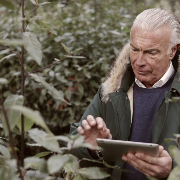 Abogado Derecho Sucesorio